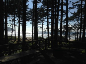 View of the Ocean from out Cabin