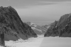 Glacier Field - Denali National Park