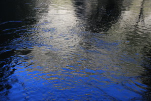 Morning Reflections along the Merced