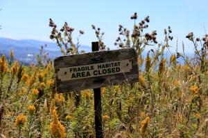 Fragile Habitat Area