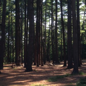 Rhode Island Campground