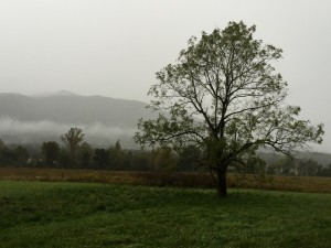 Cades Cove 1