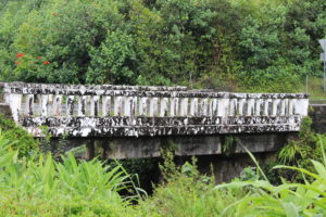 Road to Hana 